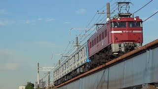 【警笛有り】EF81-134＋E131系T3編成、新津配給　鶴見川橋梁通過シーン