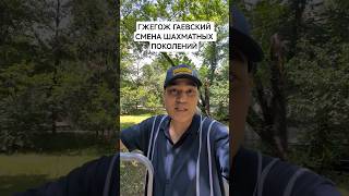 ГЖЕГОЖ ГАЕВСКИЙ СМЕНА ШАХМАТНЫХ ПОКОЛЕНИЙ