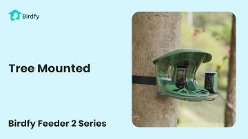 Tree Mounted - Birdfy Feeder 2 Series Tutorial