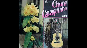 TÔCO PRETO Chora cavaquinho Vol 2 - 1983 (LP COMPLETO) TÔCO PRETO Chora cavaquinho Vol 2 - 1983 (LP COMPLETO)
