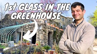 FIRST GLASS in our ANTIQUE GREENHOUSE RESTORATION (& planting 40 table grape varieties)