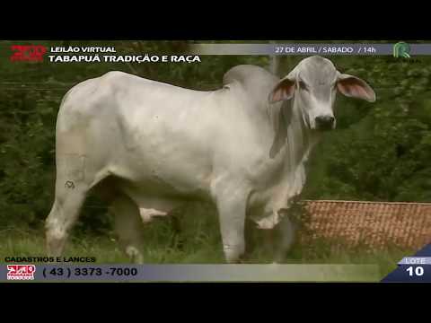 LOTE 010