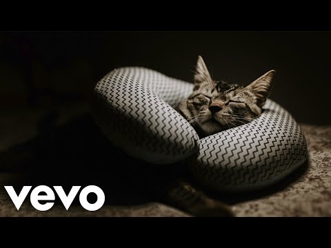 CICERO LINS | SOME LAZY DAYS (CLIPE ALTERNATIVO)