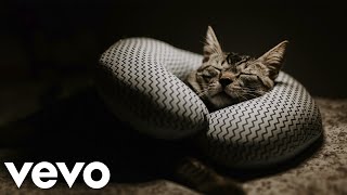 Download lagu CICERO LINS | SOME LAZY DAYS (CLIPE ALTERNATIVO)