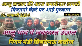 16 जनवरी 2024/आलू बाजार की आज धमाकेदार वापसी आलू भाव में जबरदस्त उछाल निगम मंडी छिबरामऊ कन्नौज