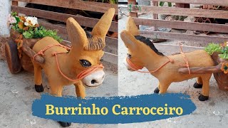 BURRINHO CARROCEIRO