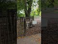 Dieser Spielplatz ist einzigartig #shorts #viral #playground