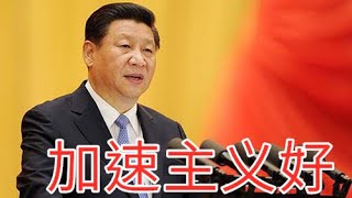 加速主义好！【总加速师习近平】#辱包 #NMSL song #加速主义