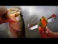 Pompadour Jr. Bass Fishing - Crazy Topwater Action and Big Blowups