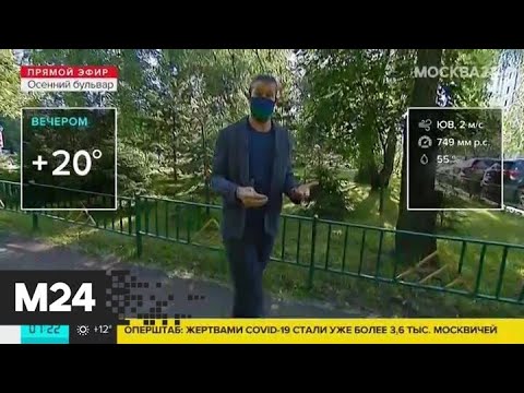 "Утро": будет ли дождь в понедельник в столице - Москва 24