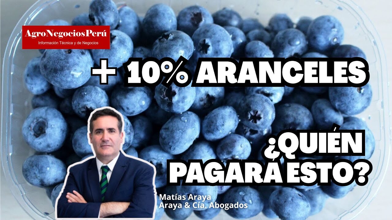 Los exportadores ya están agregado el 10% de los aranceles a sus sobrecostos