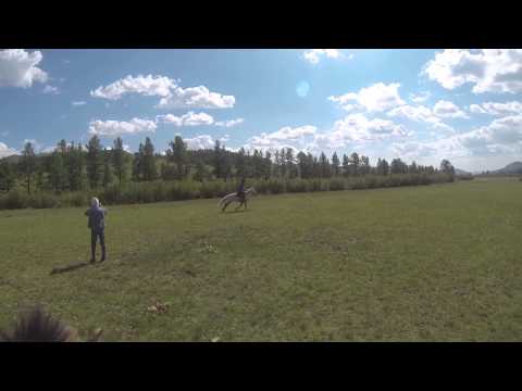 Sofie's Second Ride at the Gallop on Mad Max