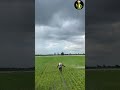 Pesticide Ka Science | Kisan Yeh Zarur Dekhen!#agriculture#farming#shortvideo