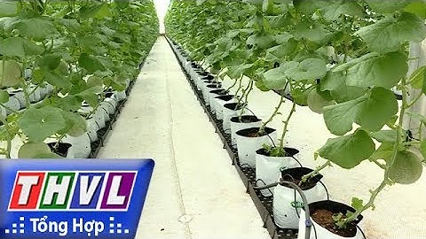 THVL | Người đưa tin 24G: Cách mạng công nghiệp 4.0 mang lại cơ hội và thách thức cho nông dân