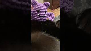 Luna and Kage 🥰 #joybomb #100daysofhalloween #crochet