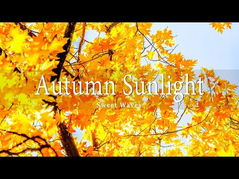 🍁🍁🍁Incredible Fall Foliage - Best 4K Autumn Nature Scenes from Around the World + Calming Music