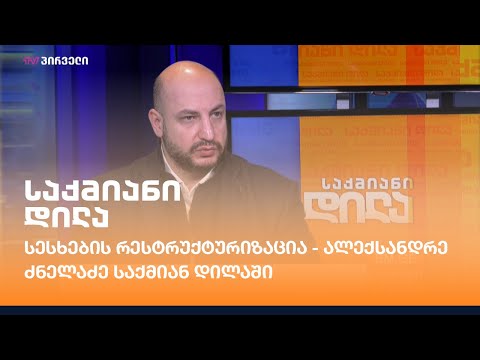 სესხების რესტრუქტურიზაცია - ალექსანდრე ძნელაძე საქმიან დილაში