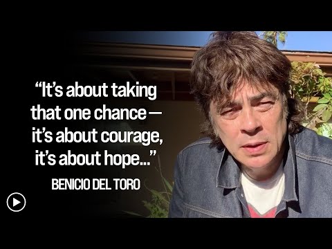 Video: Benicio del Toro Net Worth