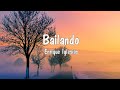🎶Enrique Iglesias - Bailando (English Version) ft. Sean Paul, Descemer Bueno, Gente De Zona (Lyrics)