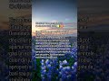#horoscop 12.09.2025 #sezonulfecioarei #lunaintaur #astrology #predictii #septembrie #toamna #shorts