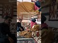 الولد وان طاب قالوا من خواله 
