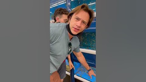 Do not do this at a pet store! 🐠