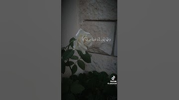 سورة الكهف بصوت ماهر المعيقلي❤️❤️