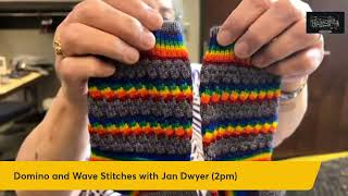 Domino and Wave Stitches with Jan Dwyer 2024