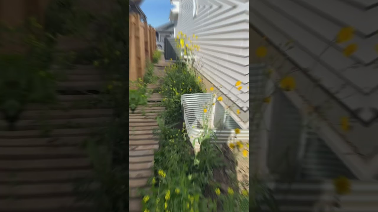 ✅ Parging Done Right | Alta Exterior Ltd Edmonton