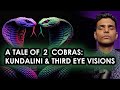 Kundalini shakti  a tale of two cobras third eye visions  after dark sessions