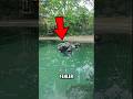 Gehe NIEMALS in dieses Wasser😱 (@jonathanrios782)