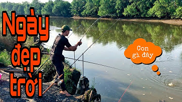 CÂU CÁ TRÊ SÔNG SÀI GÒN - CẦN CÂU MINI LÊN EM CÁ TRA BÚ BÌNH  | Dương Khương Duy FISHING 2020 #10