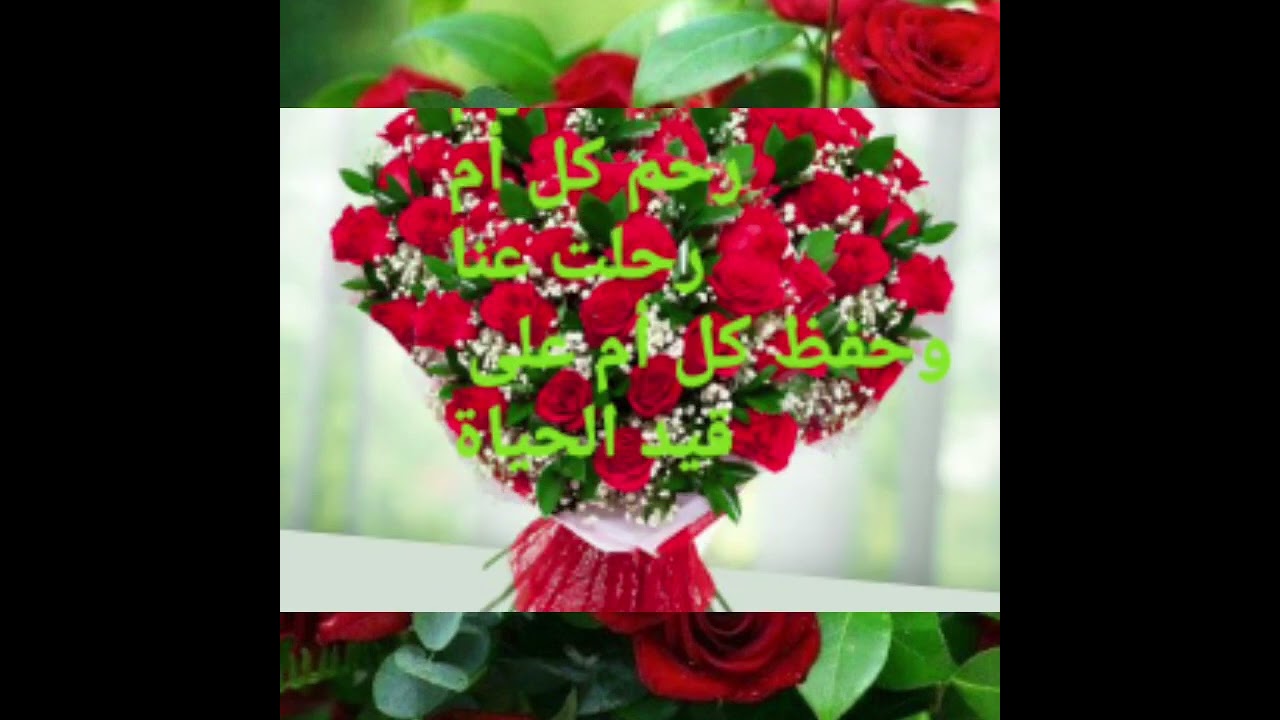 قصيدة  رائعة  في حق الأم    أحمد  كربوب الفرحي