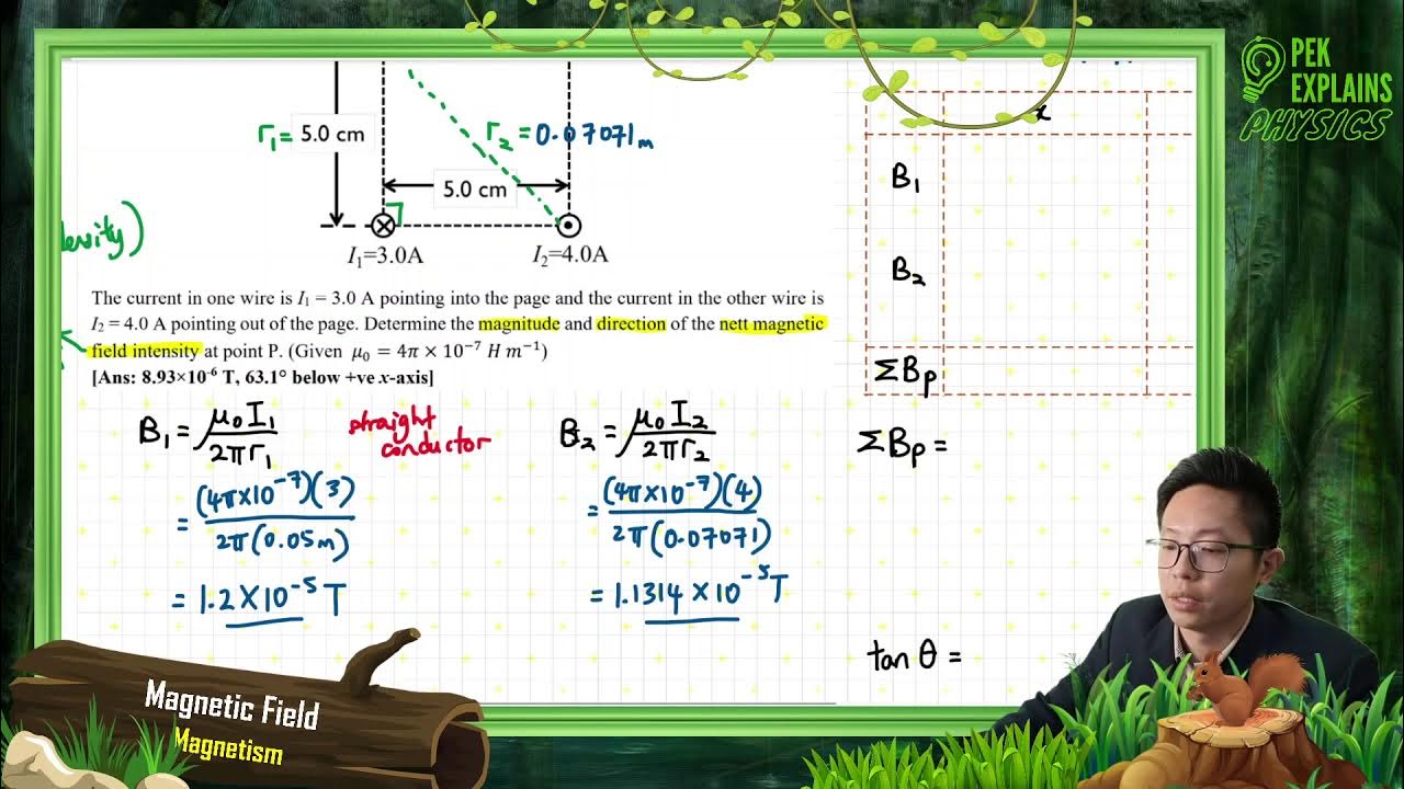 Matriculation Physics Resultant field produced by current