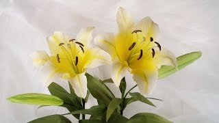 ABC TV | Как сделать цветок из желтой лилии из крепированной бумаги - Учебник по рукоделию