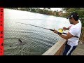 SHARK FISHING in BACKYARD POND! **Freshwater Isolated Lake**