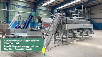 Raw Cashew Grading Machine / Raw Cashew Size Sorting Machine
