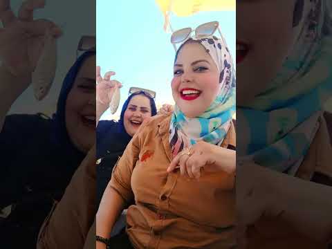 حلوين جامدين مش هافيه  الملكه نمبر وان 