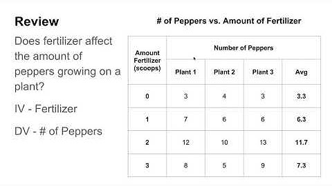 Creating Graphs for Scientific Experiments