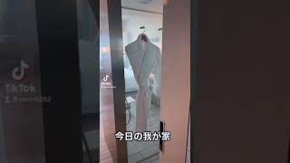 稀にホテル巡りするOLてワケ #Shorts