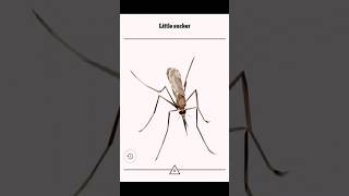 #gaming #vertex little sucker screenshot 1