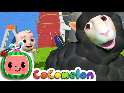 Baa Baa Black Sheep | CoComelon Nursery Rhymes &amp; Kids Songs