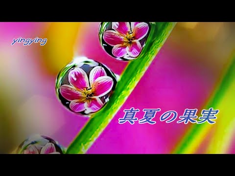 真夏の果実 {盛夏的果實}  [ 日語流行歌曲 ] / 演唱: Ayaka [ 中日歌詞 ]