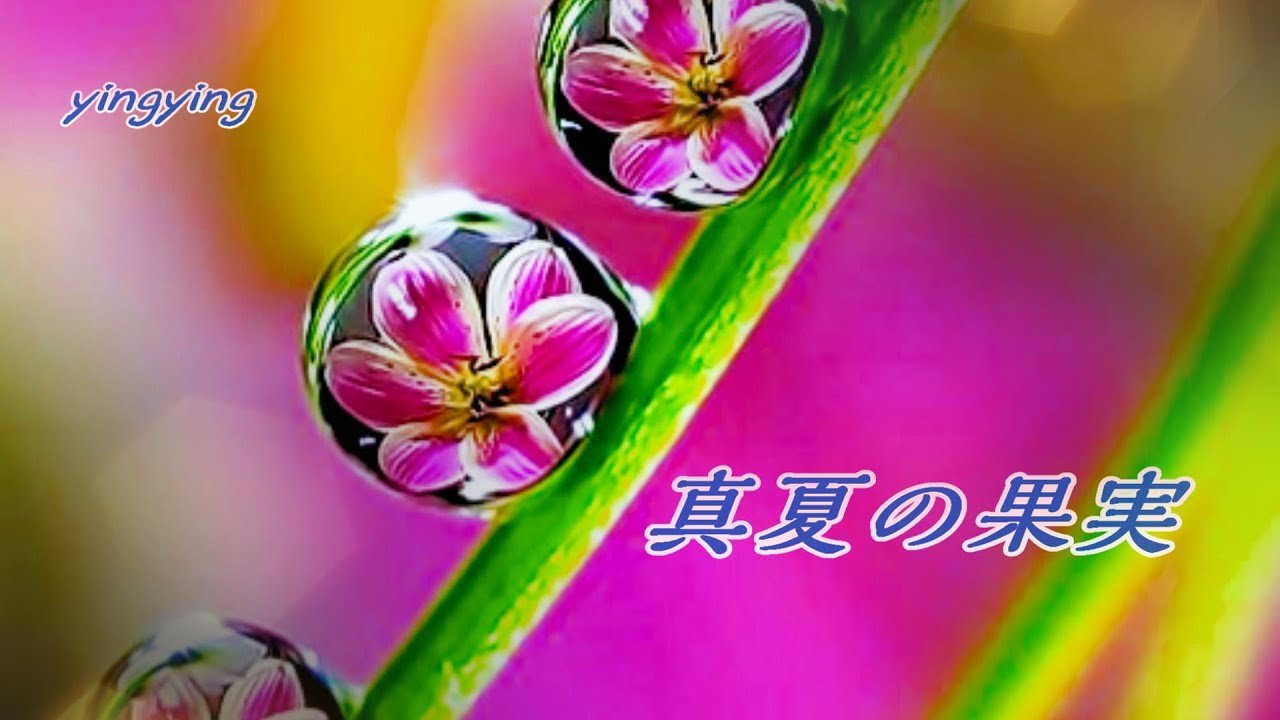 真夏の果実 {盛夏的果實}  [ 日語流行歌曲 ] / 演唱: Ayaka [ 中日歌詞 ]