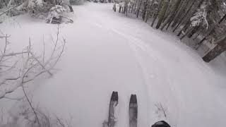 Wright peak ski trail, Adirondacks March 16, 2019