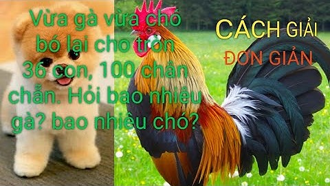 Vừa gà vừa chó bó lại cho tròn 36 con 100 chân chẵn hỏi có bao nhiêu gà bao nhiêu chó | Bài toán hay