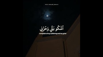 قران كريم بصوت انس الشهاب 🌿🧡 حالات واتس اب دينية مقاطع استقرام