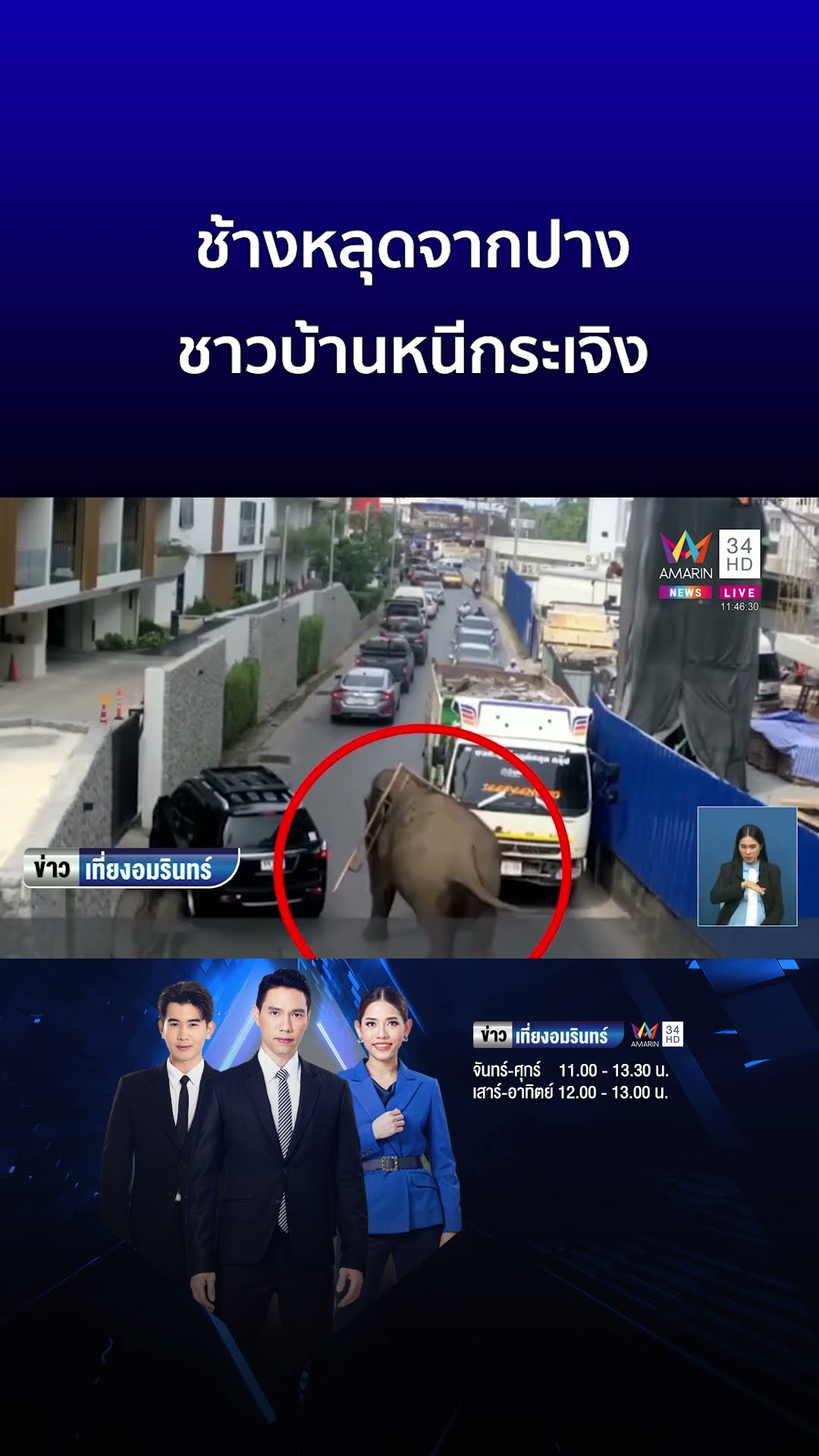 ช้างหลุดจากปาง ชาวบ้านหนีกระเจิง | ข่าวเที่ยงอมรินทร์