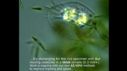 Tech Demo #3: ABEMIS Fully 3D Automated Microscopy: Whole Slide Scanning and Fast Video Imaging.