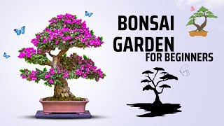 Bonsai tree: Bonsai Journey for Beginners!